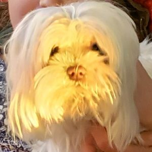 Meet your Posher, Christine